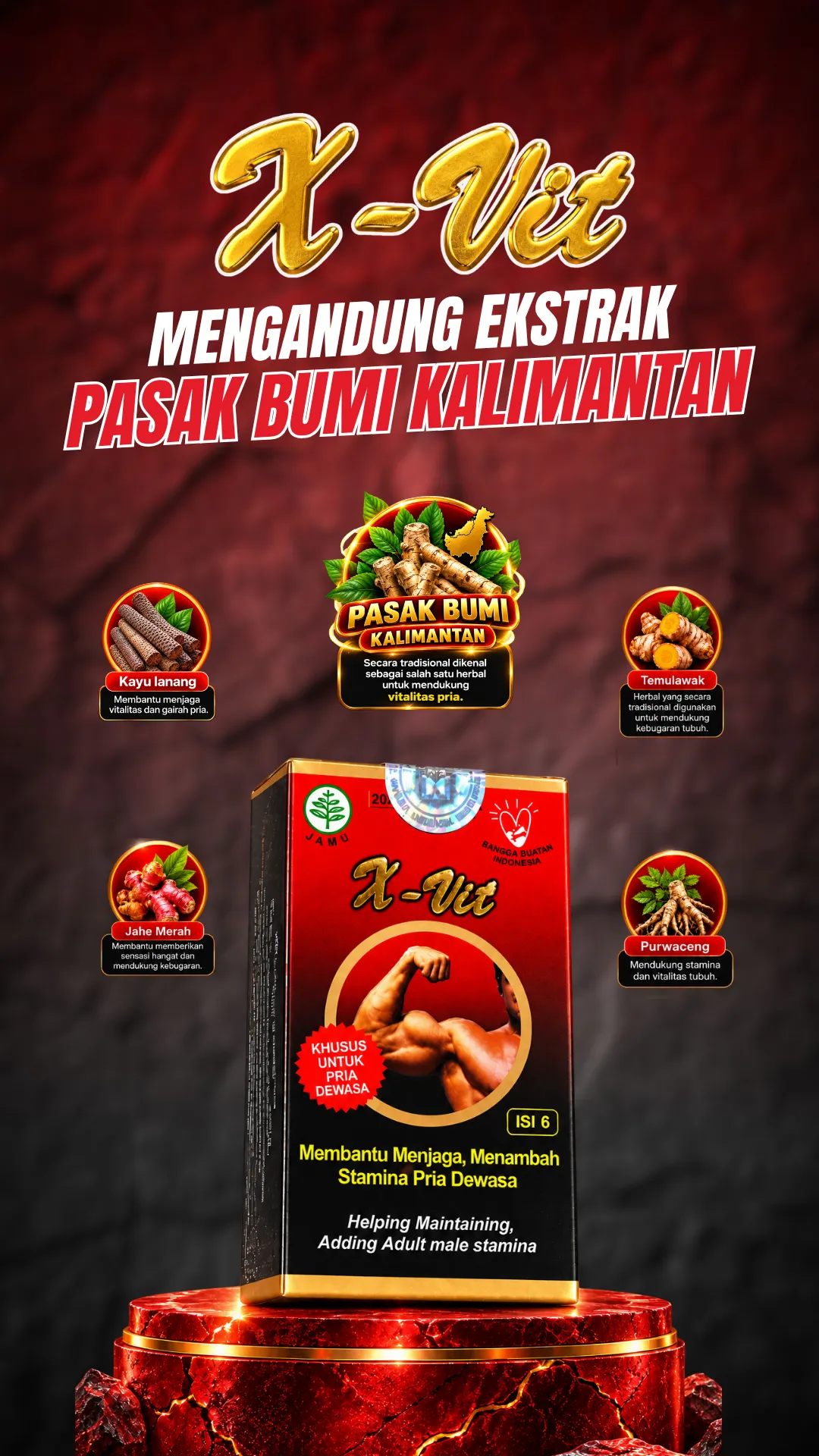 X-Vit mengandung ekstrak Pasak Bumi Kalimantan, Temulawak, Jahe Merah, dan Purwaceng